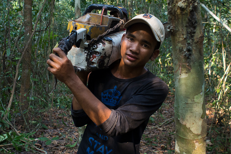 Chheng Phan carries one of the seized chainsaws back to the camp where the anti-logging activists will spend the night.